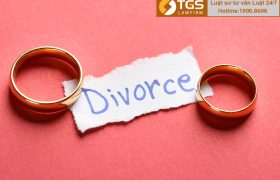 Tư vấn trường hợp ly hôn với chồng bị tâm thần mất hành vi kiểm soát